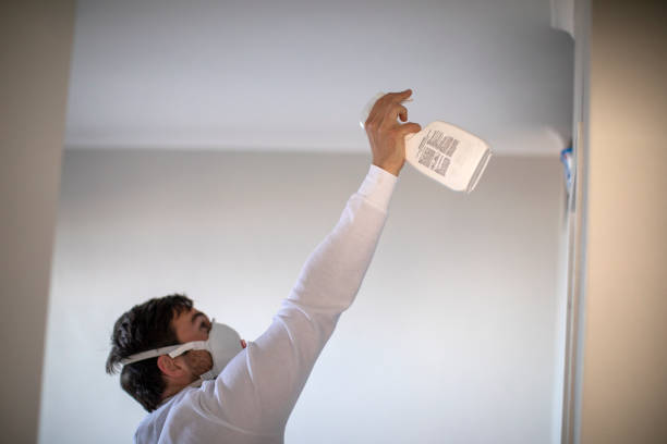 Best Toxic Mold Removal  in Franklin Farm, VA